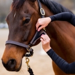 ThinLine 2 Piece Halter Cheek Liners